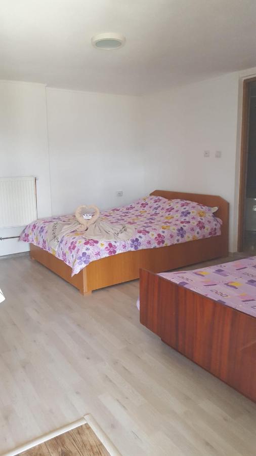 Casa Rariana 호텔 Călimăneşti 외부 사진