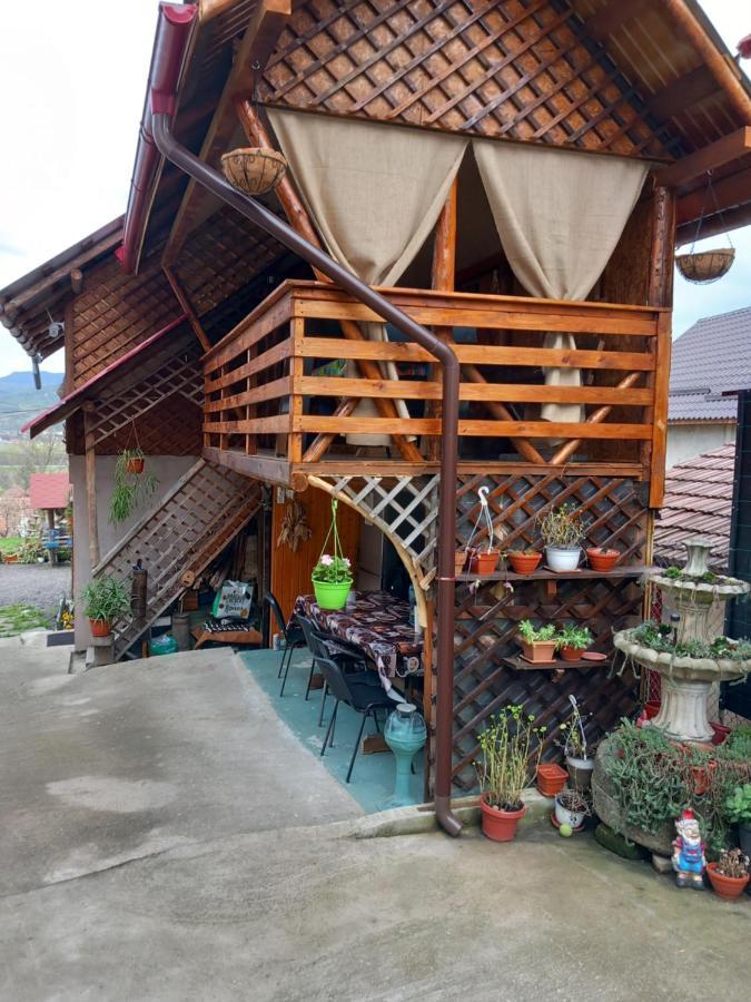 Casa Rariana 호텔 Călimăneşti 외부 사진